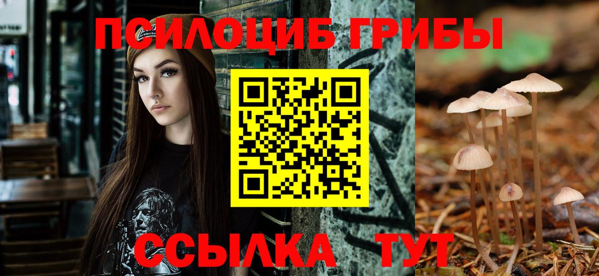 Пятигорск  Псилоцибиновые грибы ЛСД  Вход с VPN 